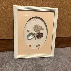 Framed seashell collage wall decor, fishermancore cottagecore nautical ocean